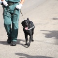 Castellón, La Guardia Civil  en el Día de la Hispanidad