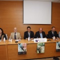 Castellón, 2012