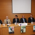 Castellón, 2012