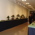 Castellón, Fundación Dávalos-Fletcher