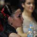 Castellón, Magdalena 2013