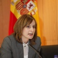 Ciberdemocracia participativa