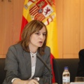 Ciberdemocracia participativa