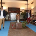 Castellón, Asociación de Esclerosis Múltiple