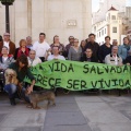 CASTELLÓN, Día Internacional del Daño Cerebral Sobrevenido