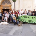 CASTELLÓN, Día Internacional del Daño Cerebral Sobrevenido