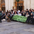 CASTELLÓN, Día Internacional del Daño Cerebral Sobrevenido
