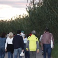 Castellón, X Marcha por las Ermitas