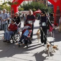 Carrera Valora la Vida