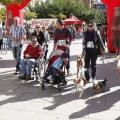 Carrera Valora la Vida