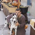 Castellón, Feria Medieval de Mascarell