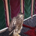 Castellón, Feria Medieval de Mascarell