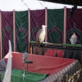 Castellón, Feria Medieval de Mascarell