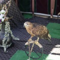 Castellón, Feria Medieval de Mascarell