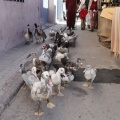 Castellón, Feria Medieval de Mascarell