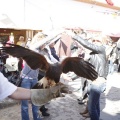 Castellón Feria Medieval Mascarell