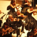 Castellón, Auditorio, 2012