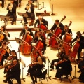 Castellón, Auditorio, 2012