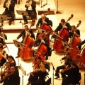 Castellón, Auditorio, 2012