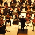 Castellón, Auditorio, 2012