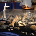 Museu de la Mar