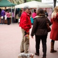 Feria de arte y artesanía