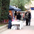 Feria de arte y artesanía