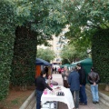 Feria de arte y artesanía