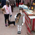 Feria de arte y artesanía