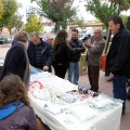 Feria de arte y artesanía