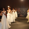 Desfile Higinio Mateu