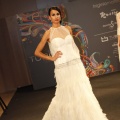 Desfile Higinio Mateu