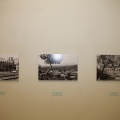 Castellón, Inauguración de la exposición 