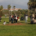 Castellón, plantación de árboles