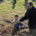 Castellón, plantación de árboles