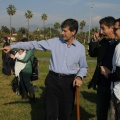 Castellón, plantación de árboles