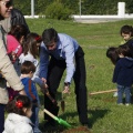Castellón, plantación de árboles