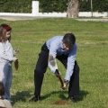 Castellón, plantación de árboles