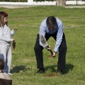 Castellón, plantación de árboles