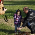 Castellón, plantación de árboles