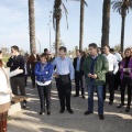 Castellón, plantación de árboles