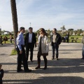 Castellón, plantación de árboles