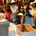 Chococas 2012