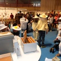 Chococas 2012