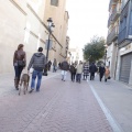 Día de la Constitución