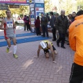 Maratón ciudad de Castellón 2012