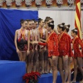 Castellón, Campeonato Nacional de Gimnasia Rítmica