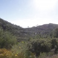 Castellón, Medioambiente 2012