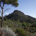 Castellón, Medioambiente 2012