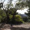 Castellón, Medioambiente 2012